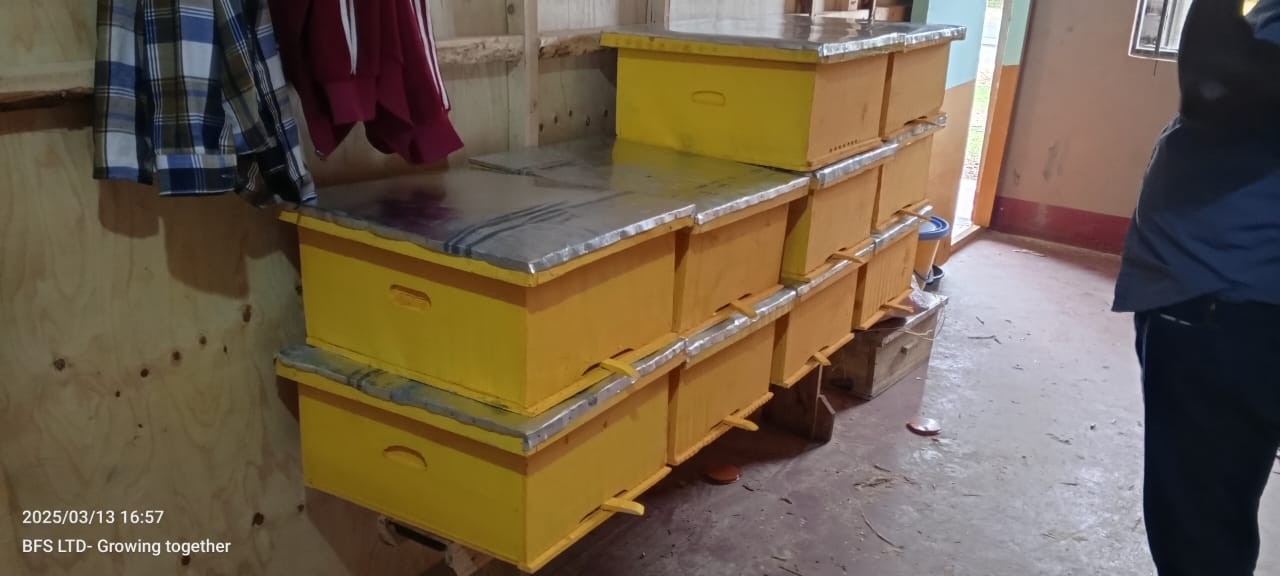 Langstroth Beehive - Image 3